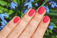 /album/esmaltes-permanente/petal-jpg/